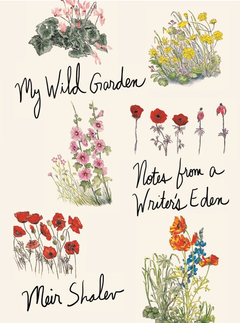 Item #2076 My Wild Garden: Notes from a Writer's Eden. Meir Shalev