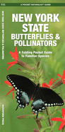 New York State Butterflies & Pollinators: A Folding Pocket Guide to Familiar Species