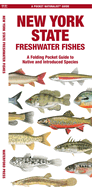 New York State Freshwater Fishes: A Folding Pocket Guide to Native and Introduced Species