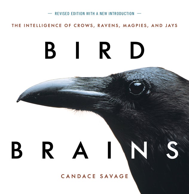 Item #2333 Bird Brains: The Intelligence of Crows, Ravens, Magpies, and Jays. Candace Savage